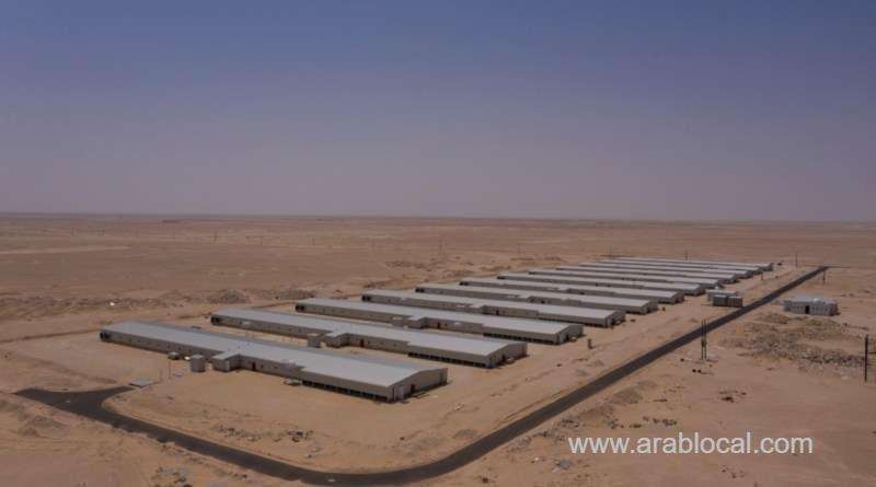 osool-poultry-company-to-start-operation-next-january_kuwait