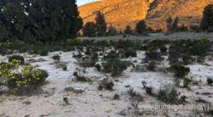 temperatures-to-drop-below-zero-in-mountain-areas-of-oman_kuwait