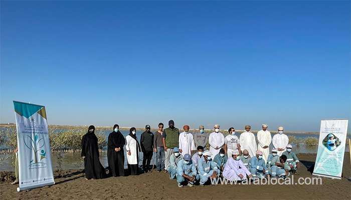 over-300-mangrove-seedlings-cultivated-in-khor-hafri_kuwait