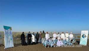 over-300-mangrove-seedlings-cultivated-in-khor-hafri_kuwait