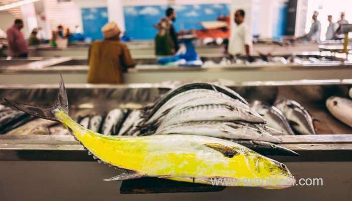 over-omr-35-million-worth-of-fish-production-in-oman_kuwait