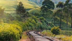 sri-lanka-opens-doors-to-tourists-once-again_kuwait