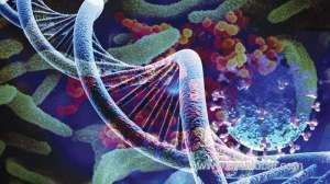 nizwa-university-study-in-oman-detect-rare-strain-of-coronavirus_kuwait