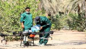 palm-tree-plantation-through-drones-taken-up-in-oman_kuwait