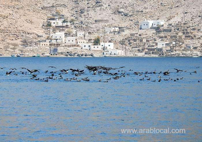 we-love-oman-magnificent-coastal-scenery-at-kumzar_kuwait