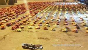 smuggling-attempt-foiled-in-oman_kuwait