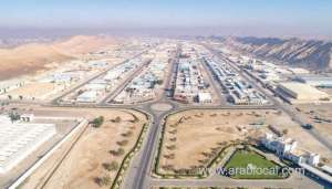 ‘economic-stimulus-has-come-at-the-right-time’_kuwait