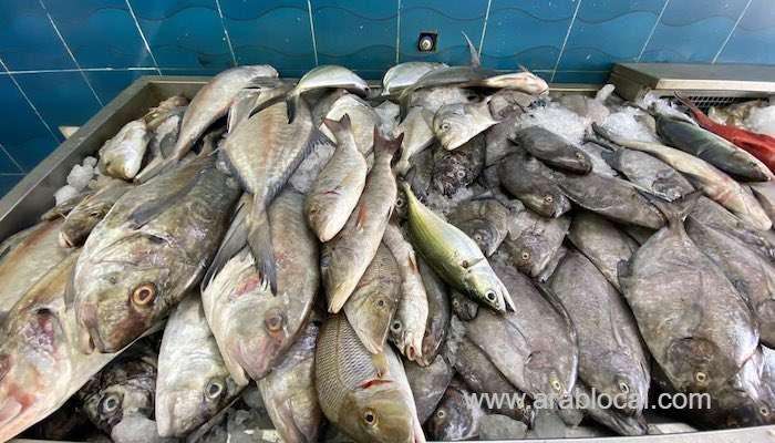 over-700,000-tons-of-fish-landed-in-oman_kuwait