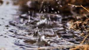 parts-of-oman-to-witness-scattered-rainfall_kuwait