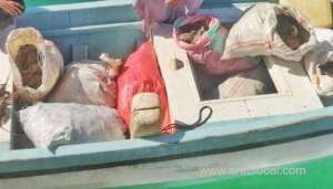 two-violators-arrested-for-illegal-fishing-of-lobsters_kuwait