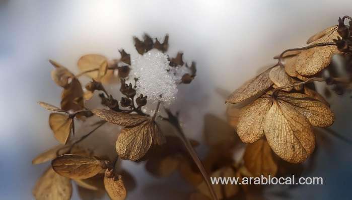 frost-likely-in-parts-of-oman's-mountains-as-temperature-drops_kuwait