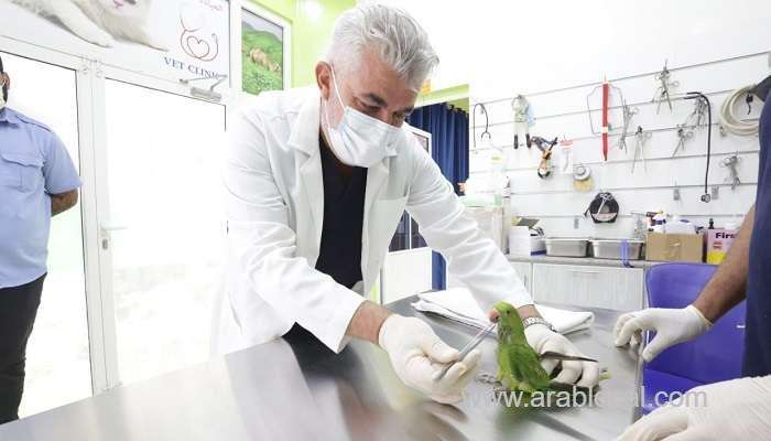 oman-has-over-300-private-veterinary-clinics-ministry_kuwait