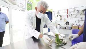 oman-has-over-300-private-veterinary-clinics-ministry_kuwait