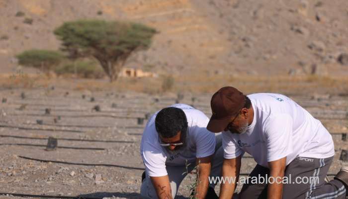 the-environment-authority-has-successfully-planted-more-than-10,000-saplings-in-the-musandam-region_kuwait
