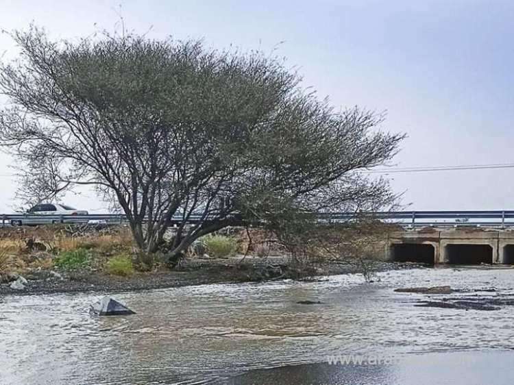 the-civil-aviation-authority-(caa)-has-forecast-heavy-rainfall-in-multiple-governorates-today_kuwait