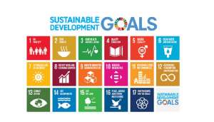 oman-among-first-countries-to-present-plan-to-achieve-development-goals-at-u.n._kuwait