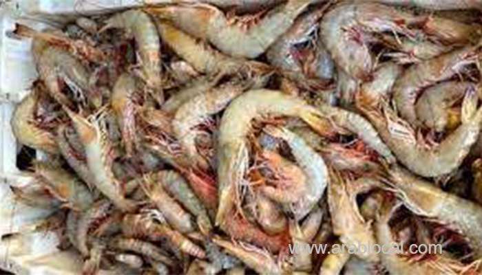 oman's-shrimp-production-crosses-over-800-tonnes_kuwait
