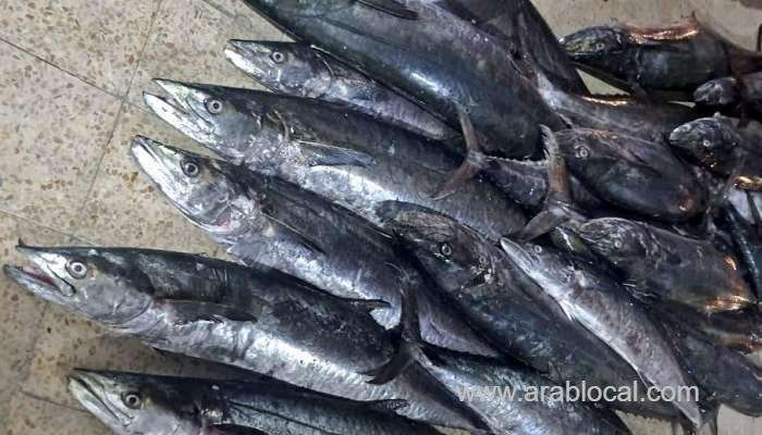 over-300-kilos-of-kingfish-seized-by-authorities-in-oman_kuwait