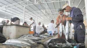 online-marketing-project-to-boost-sales-of-fish_kuwait